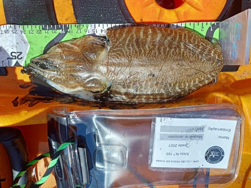 Fish Measure Picture