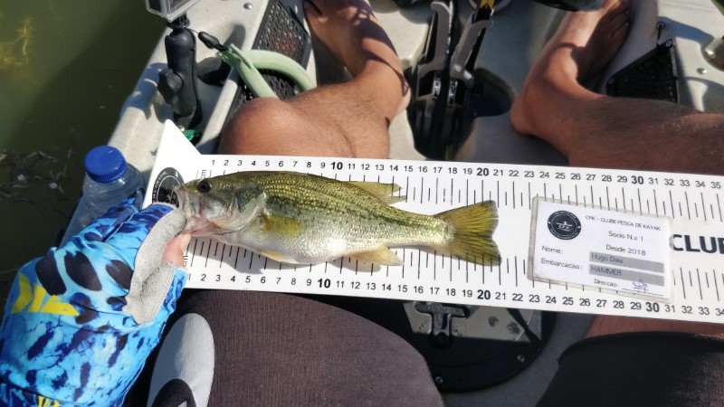 Fish Measure Picture