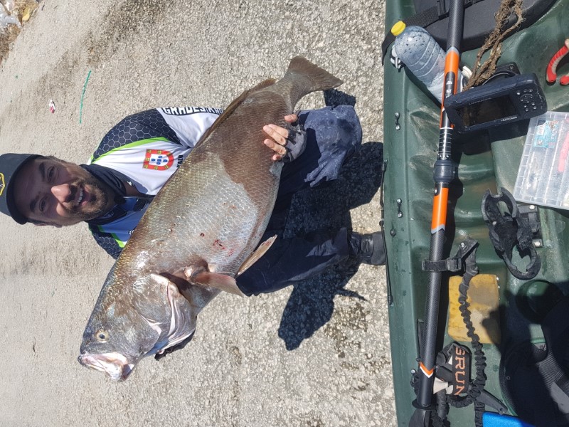 Fish Profile Picture