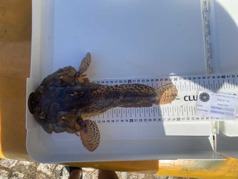 Fish Measure Picture