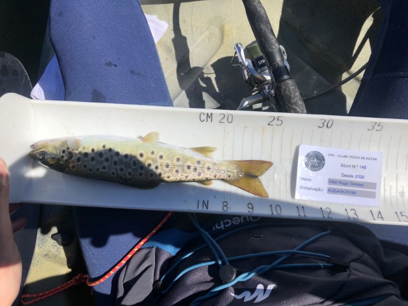 Fish Measure Picture