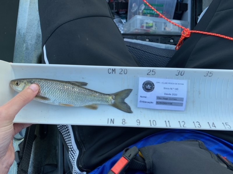 Fish Measure Picture