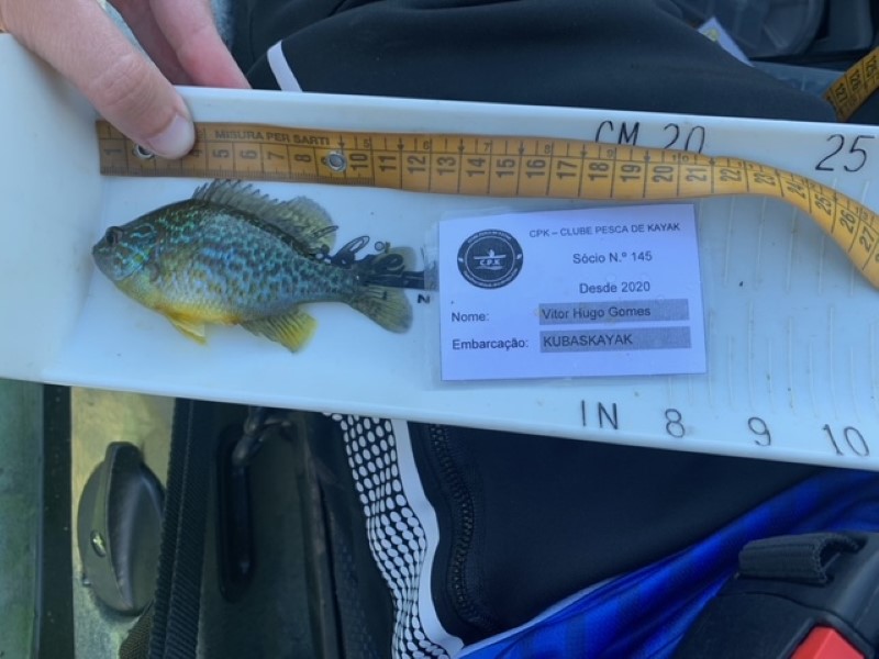 Fish Measure Picture