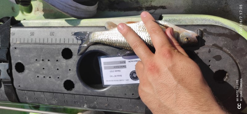 Fish Measure Picture