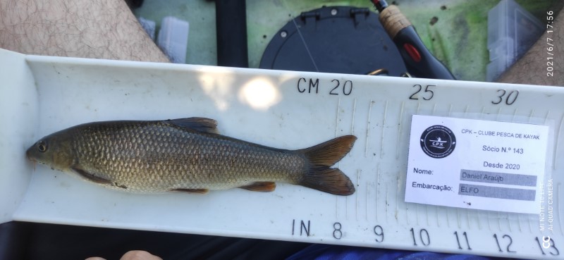 Fish Measure Picture
