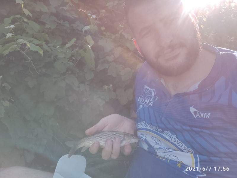 Fish Profile Picture