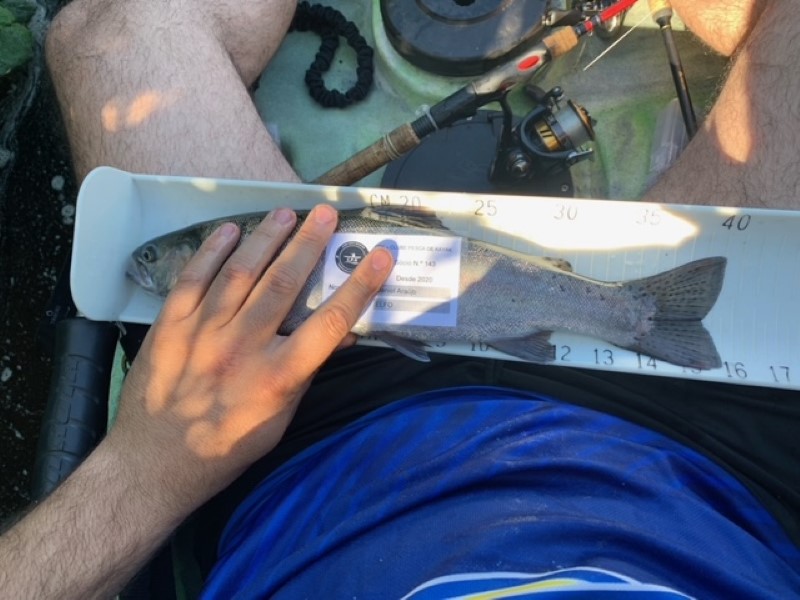 Fish Measure Picture