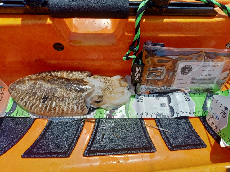 Fish Measure Picture