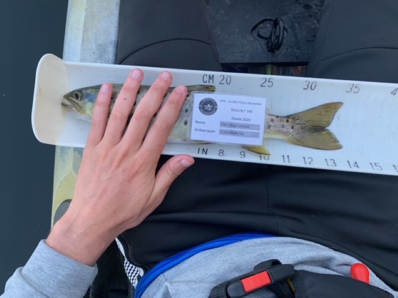 Fish Measure Picture