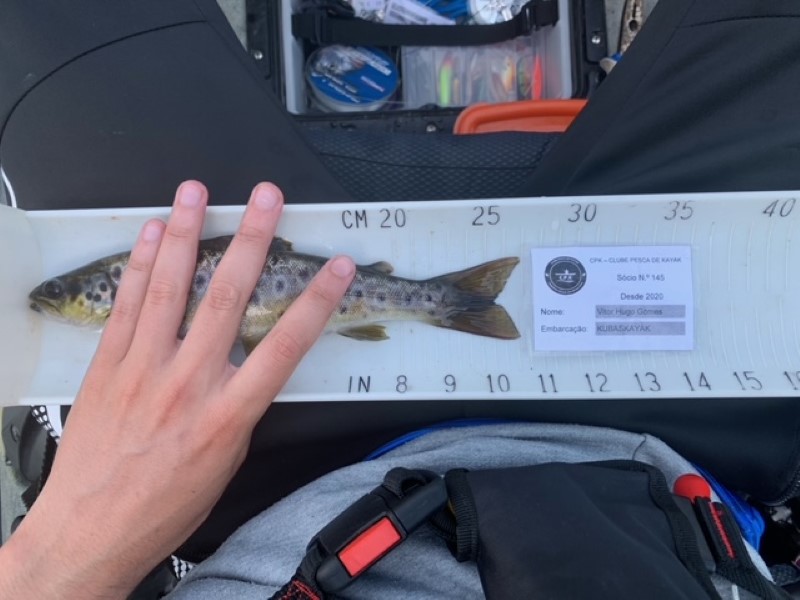 Fish Measure Picture
