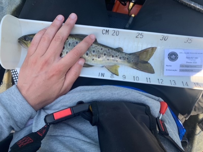 Fish Measure Picture