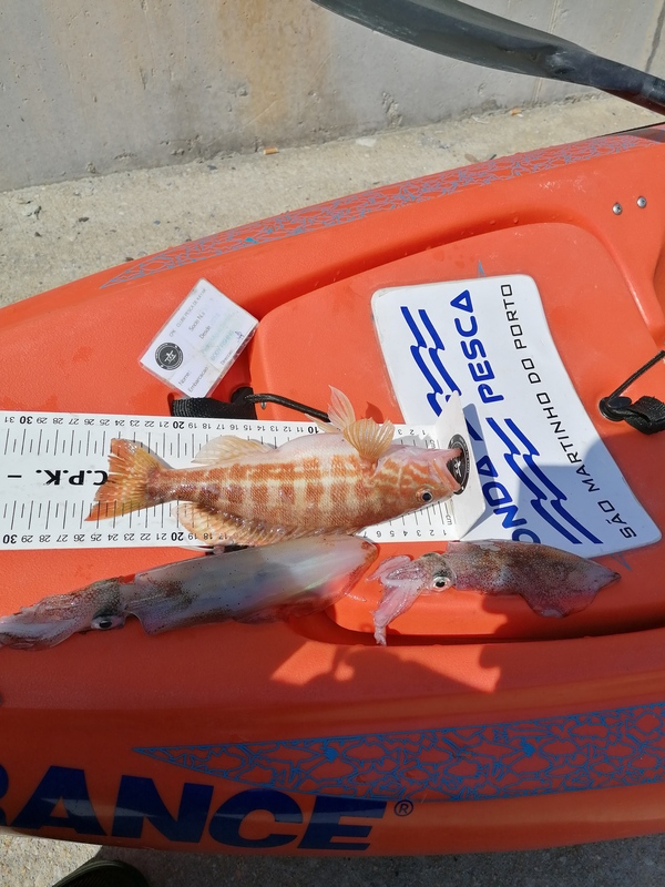 Fish Measure Picture