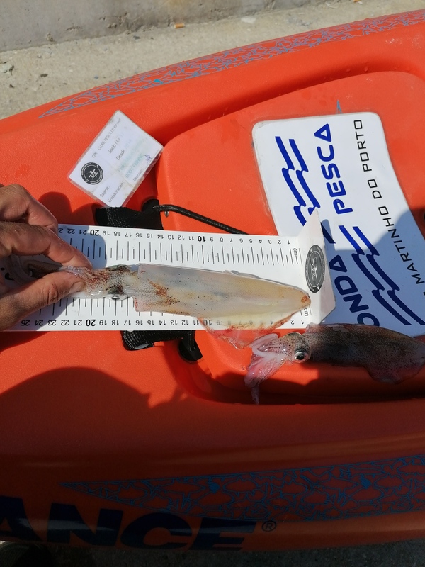 Fish Measure Picture
