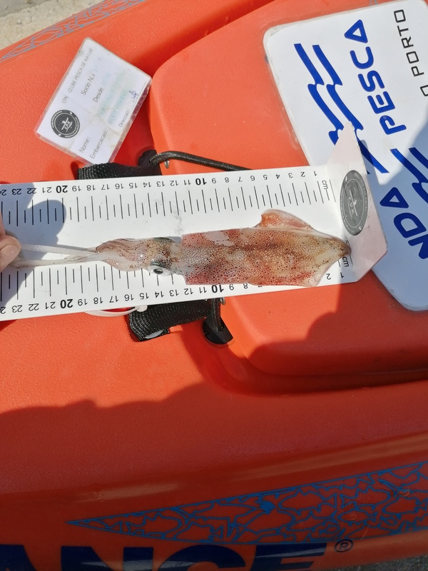 Fish Measure Picture