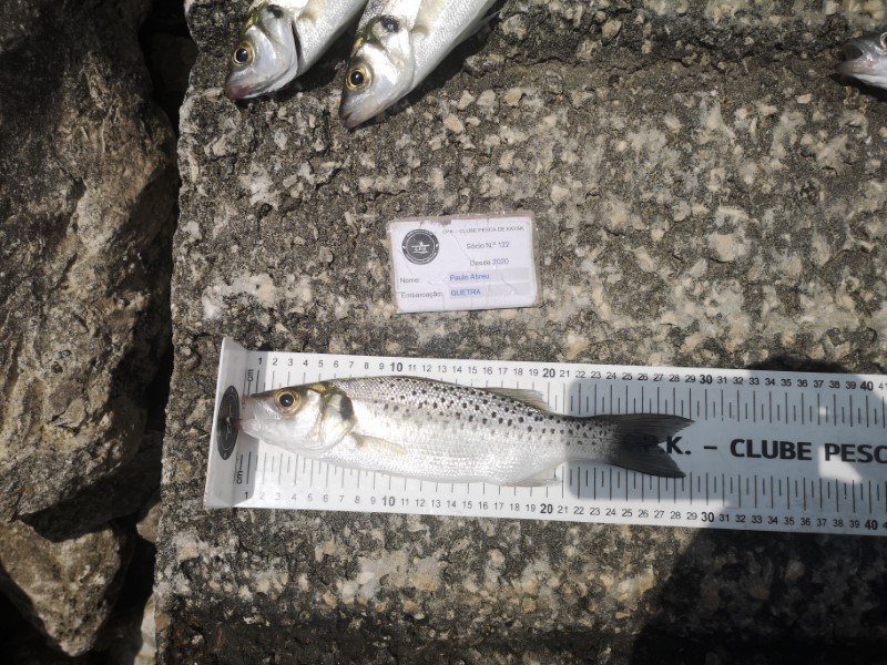 Fish Measure Picture