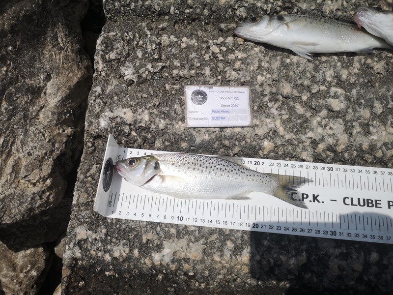 Fish Measure Picture
