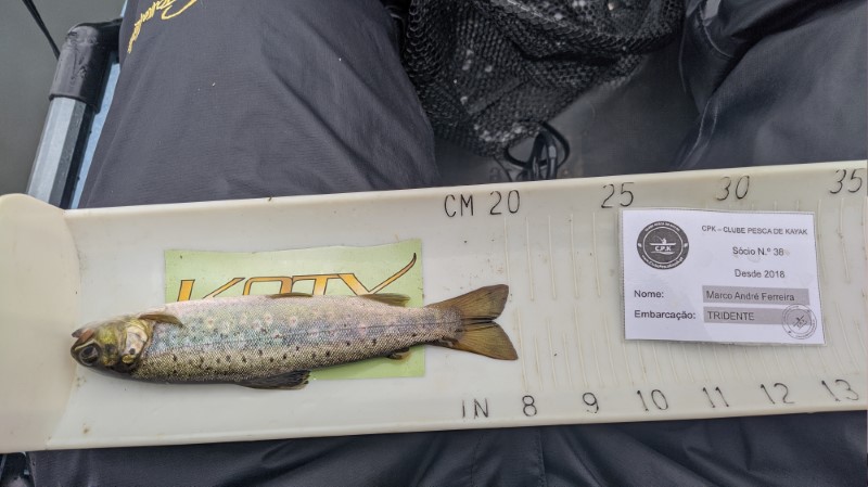 Fish Measure Picture
