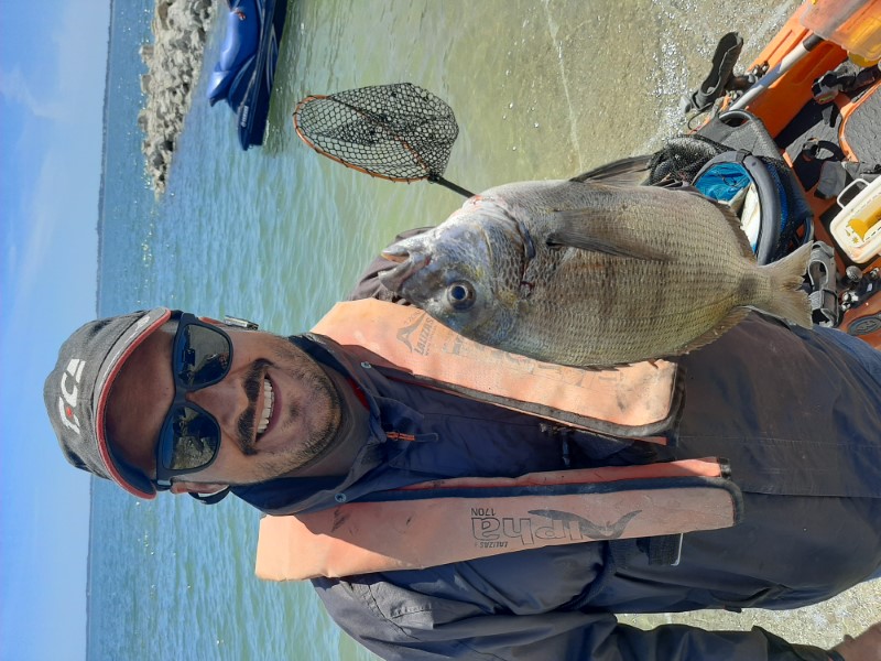 Fish Profile Picture