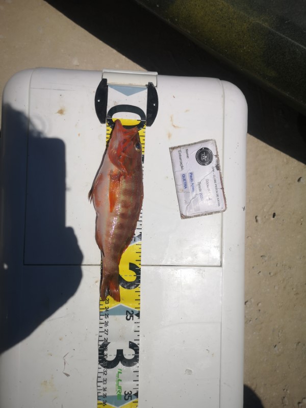 Fish Measure Picture