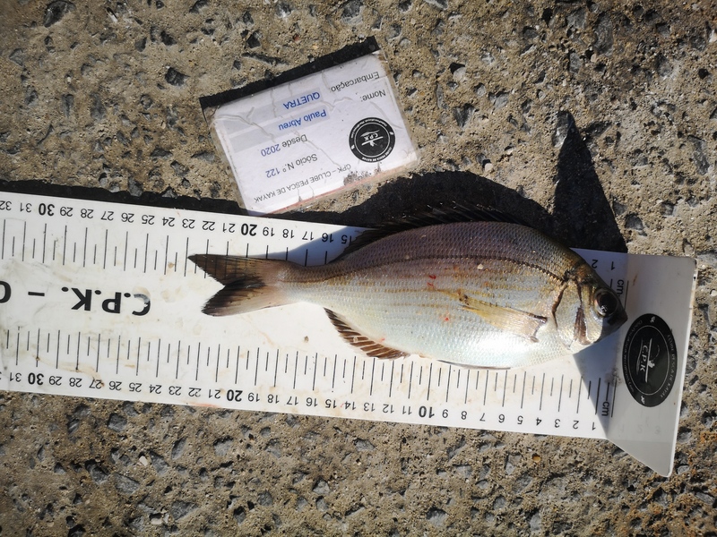 Fish Measure Picture