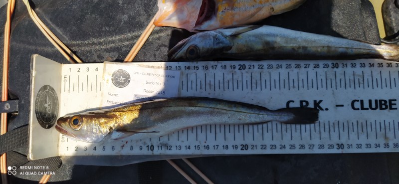 Fish Measure Picture
