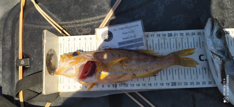 Fish Measure Picture