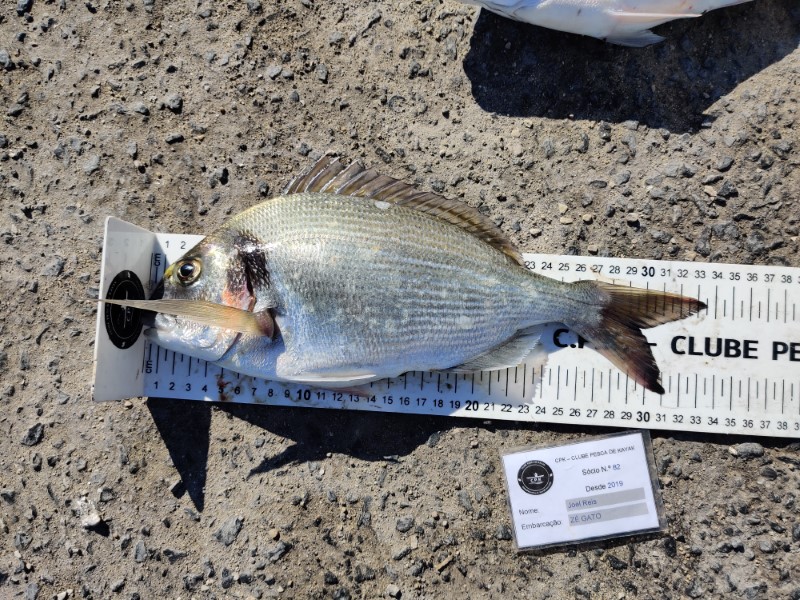 Fish Measure Picture