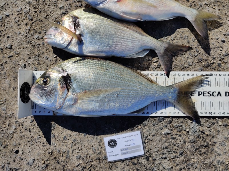 Fish Measure Picture