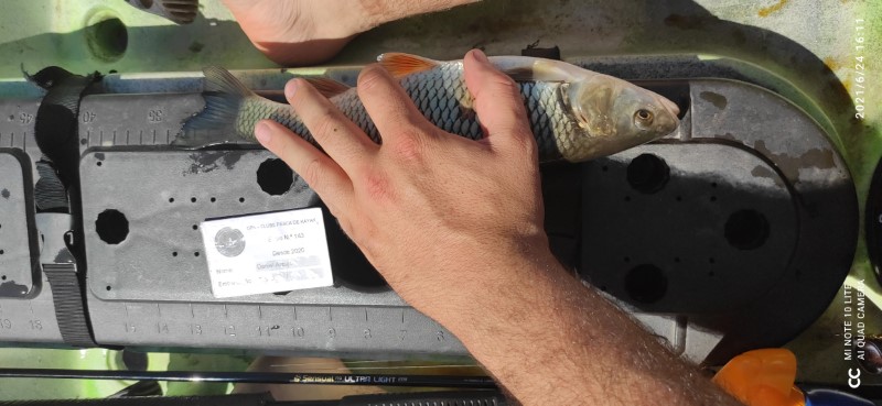 Fish Measure Picture
