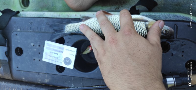 Fish Measure Picture