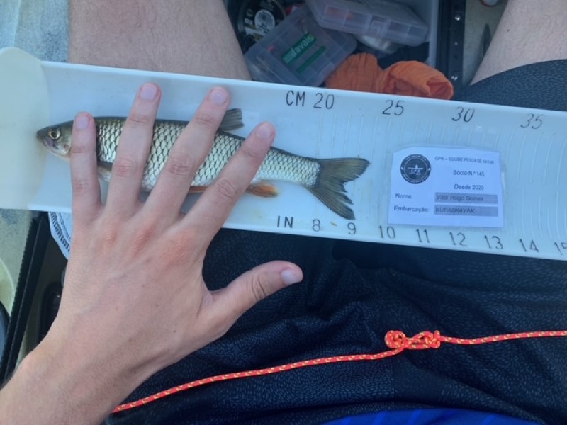 Fish Measure Picture