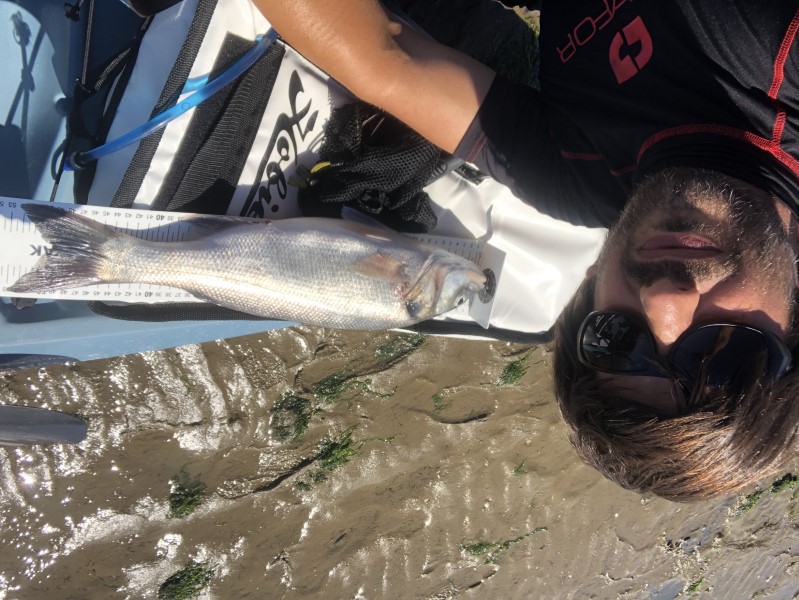 Fish Measure Picture