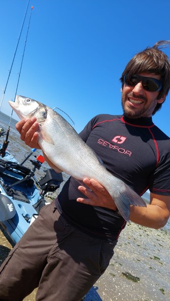 Fish Profile Picture