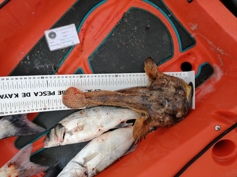 Fish Measure Picture
