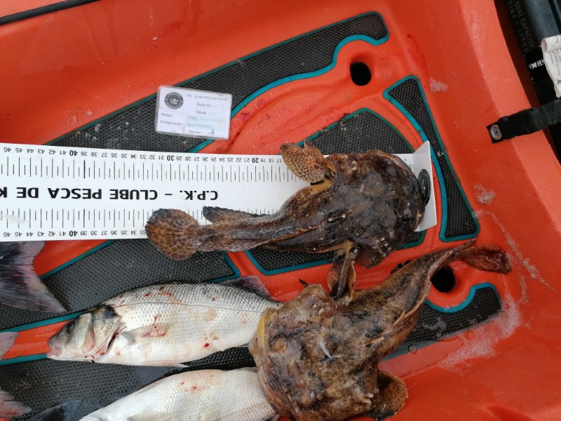Fish Measure Picture
