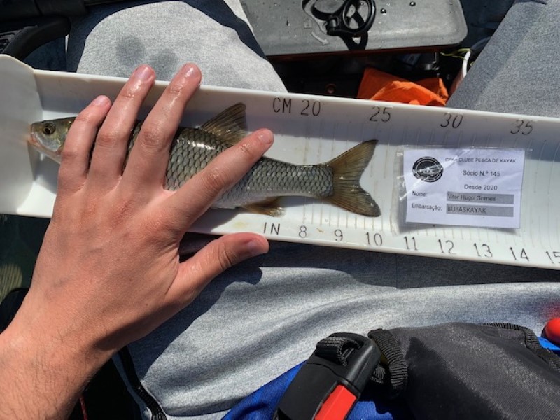 Fish Measure Picture