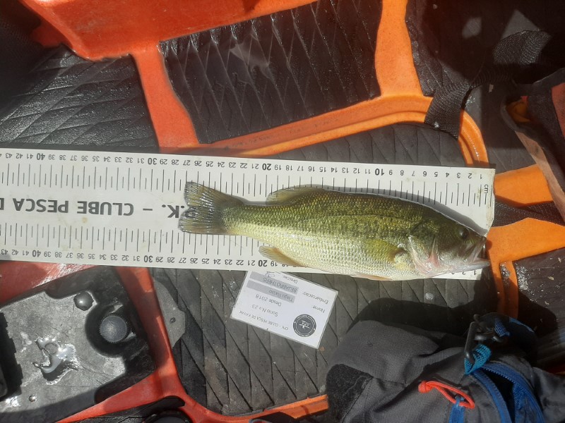 Fish Measure Picture