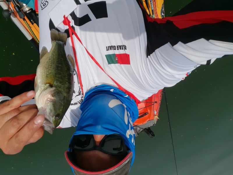 Fish Profile Picture