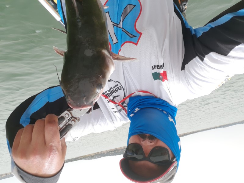 Fish Profile Picture