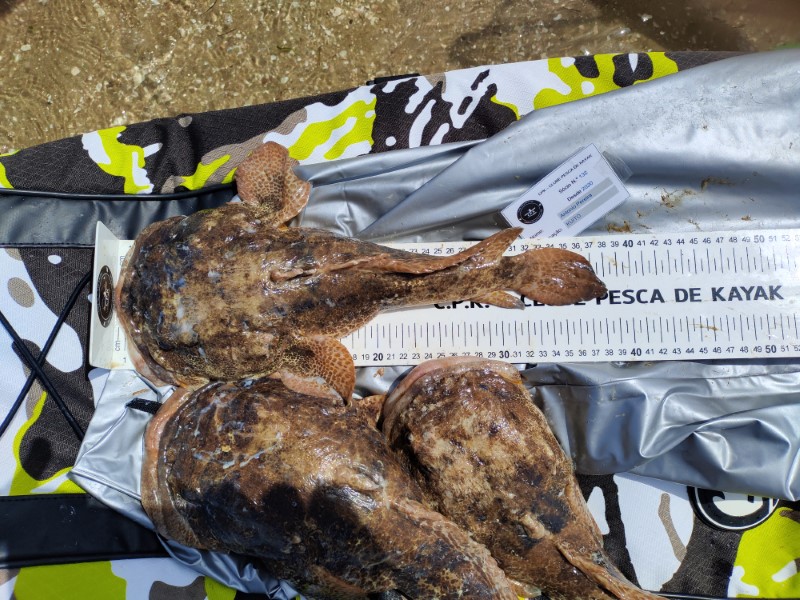 Fish Measure Picture