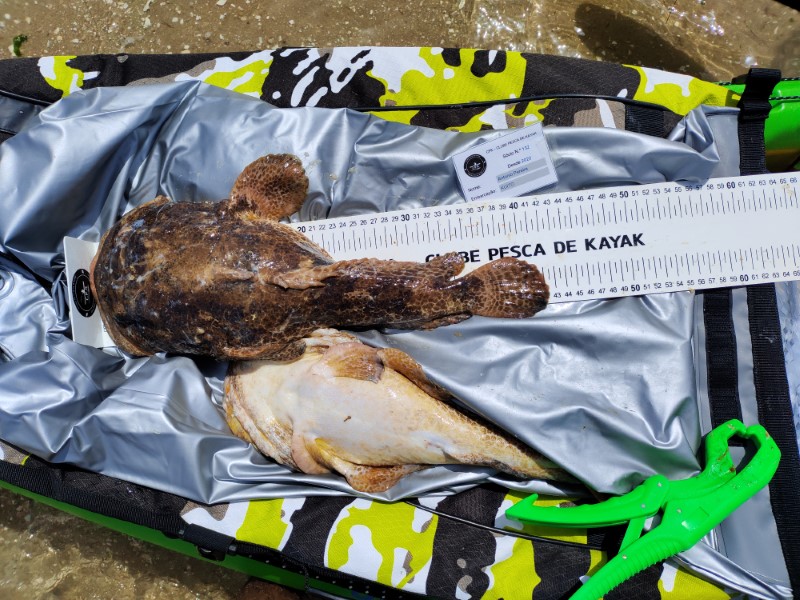 Fish Measure Picture