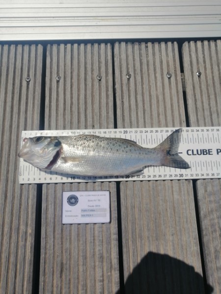 Fish Measure Picture
