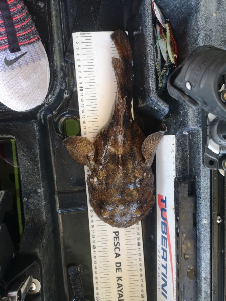 Fish Measure Picture