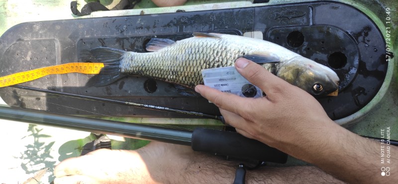 Fish Measure Picture