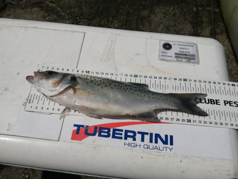 Fish Measure Picture