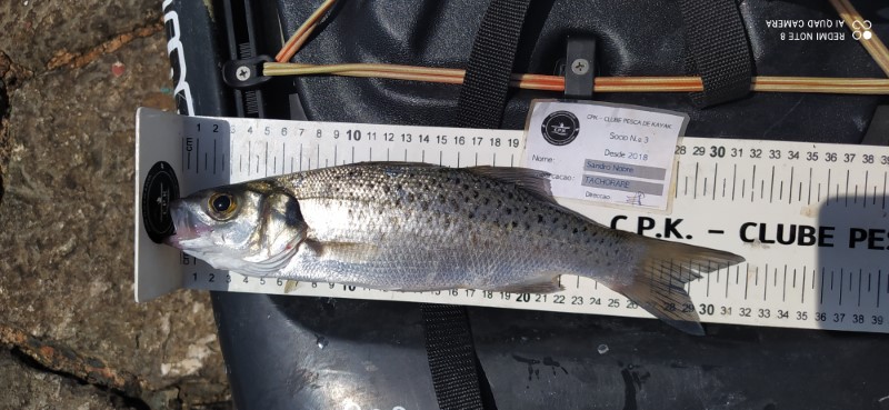 Fish Measure Picture