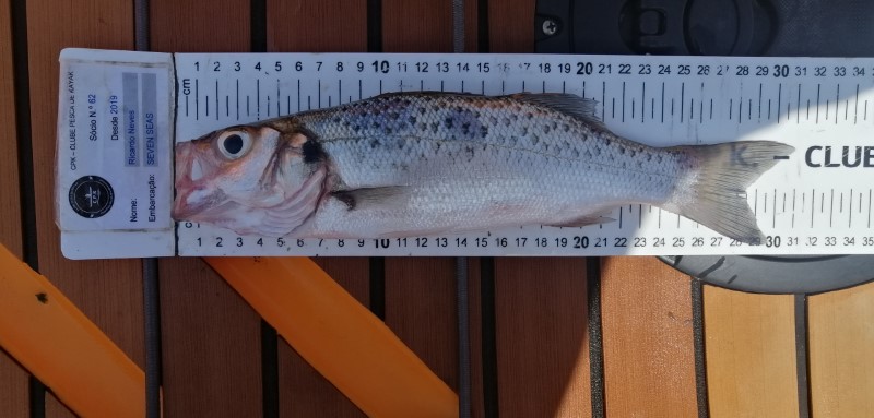 Fish Measure Picture