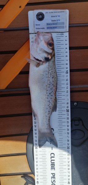 Fish Measure Picture