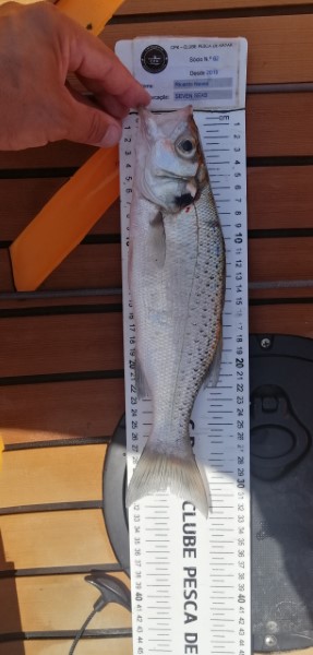 Fish Measure Picture
