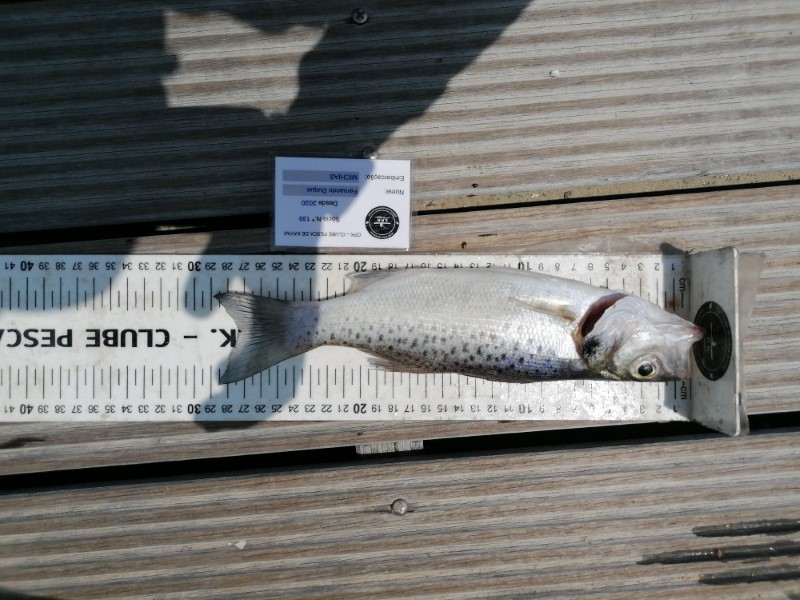 Fish Measure Picture